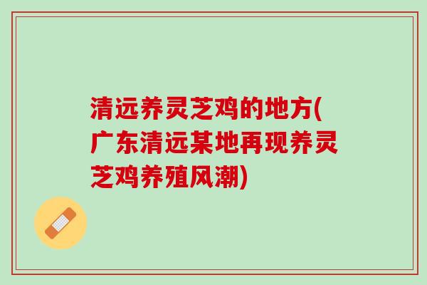 清远养灵芝鸡的地方(广东清远某地再现养灵芝鸡养殖风潮)