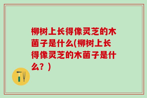 柳树上长得像灵芝的木菌子是什么(柳树上长得像灵芝的木菌子是什么?) 柳树上长得像灵芝的木菌子是什么(柳树上长得像灵芝的木菌子是什么?)