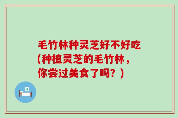 毛竹林种灵芝好不好吃(种植灵芝的毛竹林,你尝过美食了吗?) 毛竹林种灵芝好不好吃(种植灵芝的毛竹林,你尝过美食了吗?)