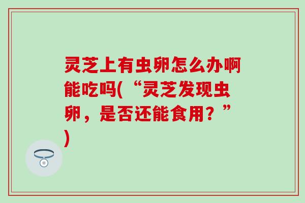 灵芝上有虫卵怎么办啊能吃吗(“灵芝发现虫卵，是否还能食用？”)