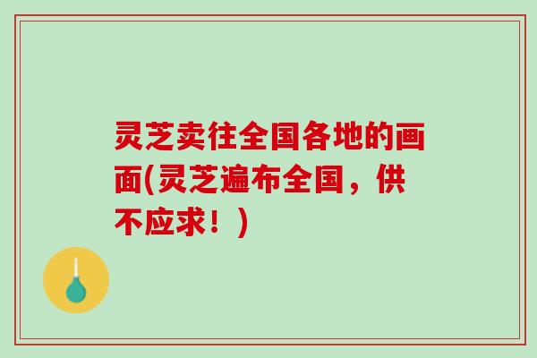 灵芝卖往全国各地的画面(灵芝遍布全国，供不应求！)