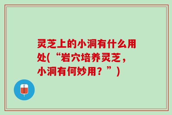 灵芝上的小洞有什么用处(“岩穴培养灵芝，小洞有何妙用？”)