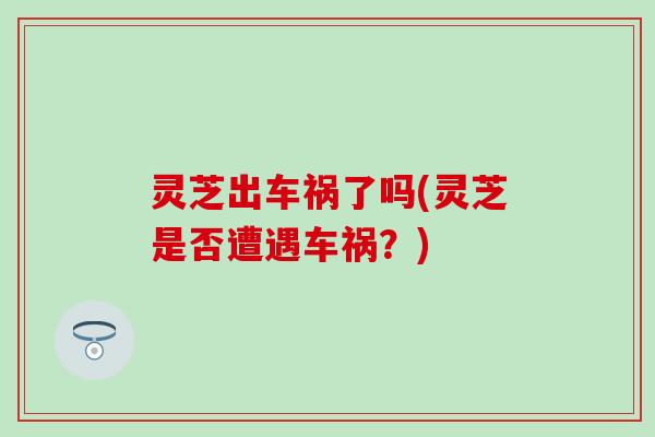 灵芝出车祸了吗(灵芝是否遭遇车祸？)