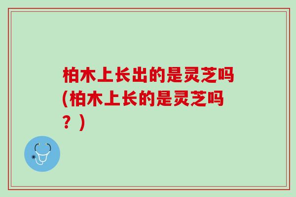 柏木上长出的是灵芝吗(柏木上长的是灵芝吗？)