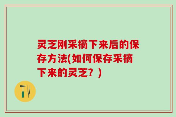 灵芝刚采摘下来后的保存方法(如何保存采摘下来的灵芝？)