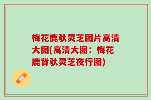 梅花鹿驮灵芝图片高清大图(高清大图：梅花鹿背驮灵芝夜行图)