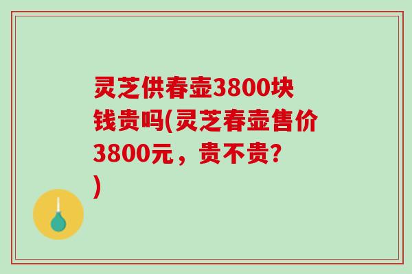 灵芝供春壶3800块钱贵吗(灵芝春壶售价3800元，贵不贵？)