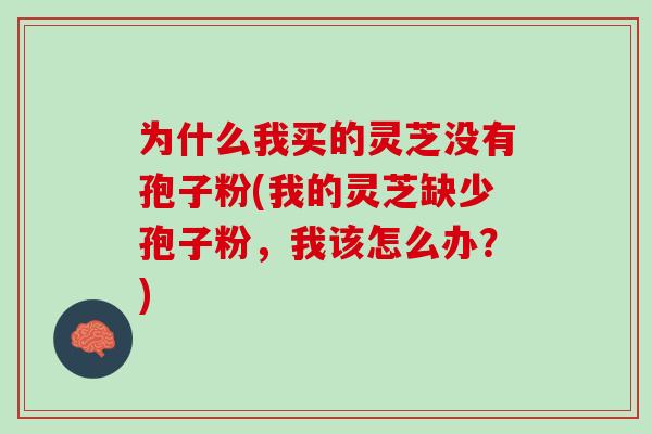 为什么我买的灵芝没有孢子粉(我的灵芝缺少孢子粉，我该怎么办？)
