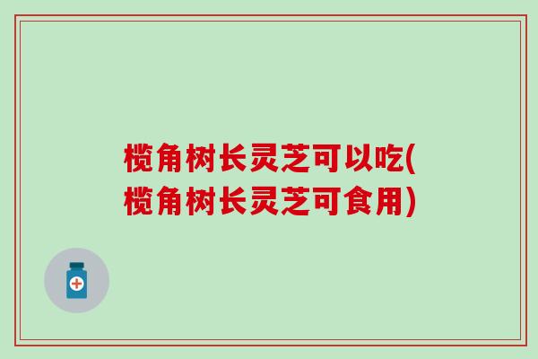 榄角树长灵芝可以吃(榄角树长灵芝可食用)