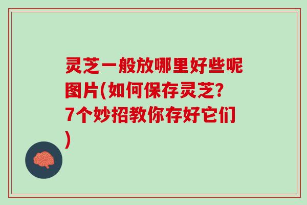 灵芝一般放哪里好些呢图片(如何保存灵芝？7个妙招教你存好它们)