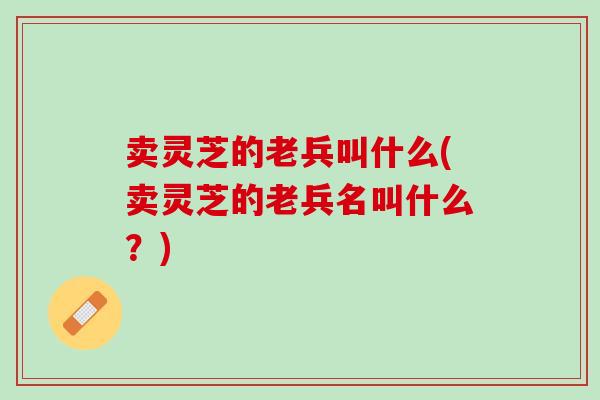 卖灵芝的老兵叫什么(卖灵芝的老兵名叫什么？)