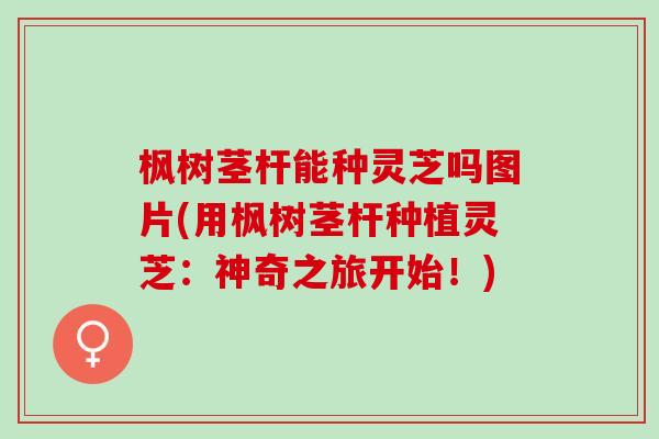 枫树茎杆能种灵芝吗图片(用枫树茎杆种植灵芝：神奇之旅开始！)