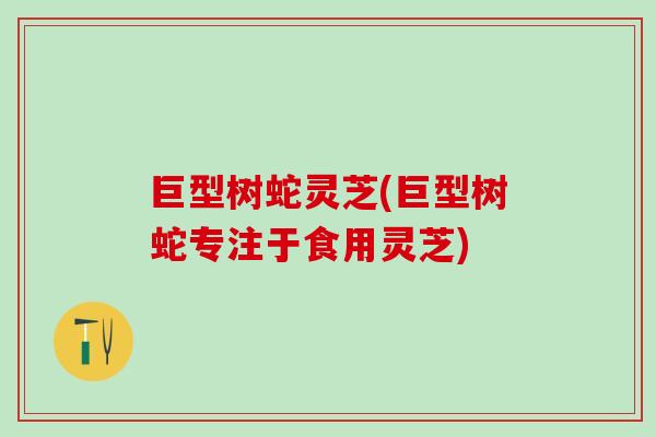 巨型树蛇灵芝(巨型树蛇专注于食用灵芝)