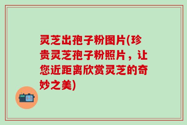 灵芝出孢子粉图片(珍贵灵芝孢子粉照片，让您近距离欣赏灵芝的奇妙之美)