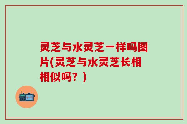 灵芝与水灵芝一样吗图片(灵芝与水灵芝长相相似吗？)