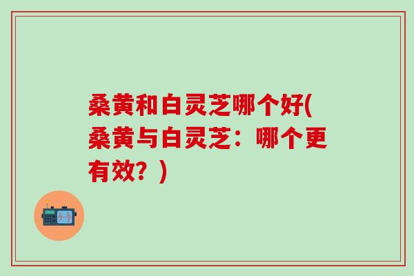桑黄和白灵芝哪个好(桑黄与白灵芝：哪个更有效？)