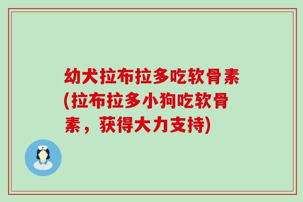 幼犬拉布拉多吃软骨素(拉布拉多小狗吃软骨素，获得大力支持)