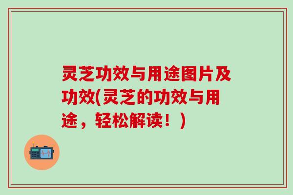 灵芝功效与用途图片及功效(灵芝的功效与用途，轻松解读！)