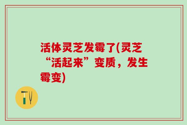 活体灵芝发霉了(灵芝“活起来”变质，发生霉变)