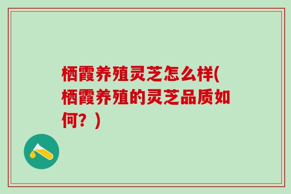 栖霞养殖灵芝怎么样(栖霞养殖的灵芝品质如何？)
