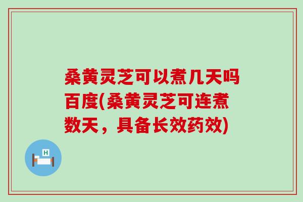桑黄灵芝可以煮几天吗百度(桑黄灵芝可连煮数天，具备长效药效)