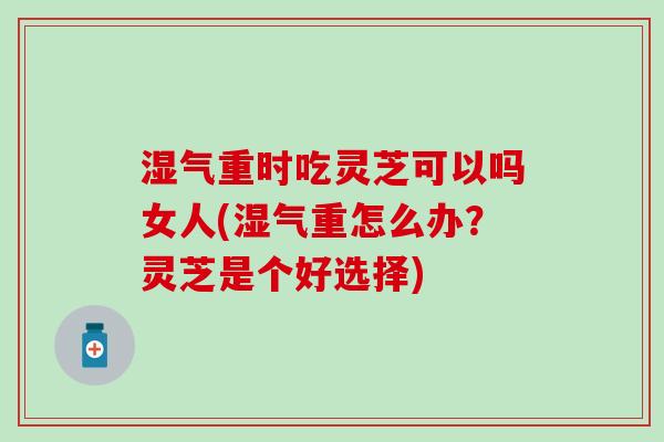 湿气重时吃灵芝可以吗女人(湿气重怎么办？灵芝是个好选择)