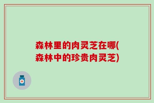 森林里的肉灵芝在哪(森林中的珍贵肉灵芝)