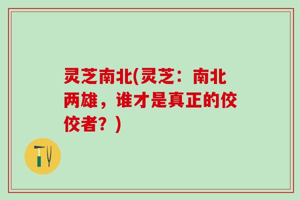 灵芝南北(灵芝：南北两雄，谁才是真正的佼佼者？)