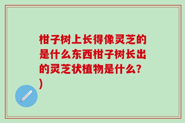 柑子树上长得像灵芝的是什么东西柑子树长出的灵芝状植物是什么？)