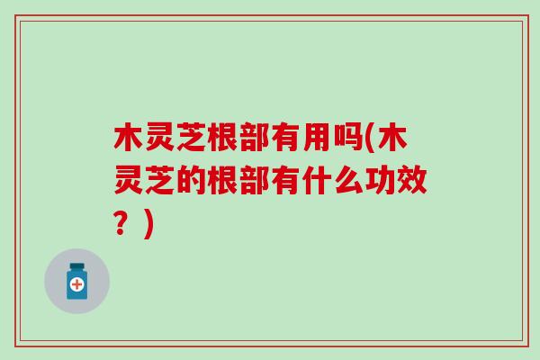 木灵芝根部有用吗(木灵芝的根部有什么功效？)
