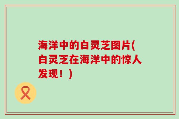 海洋中的白灵芝图片(白灵芝在海洋中的惊人发现！)