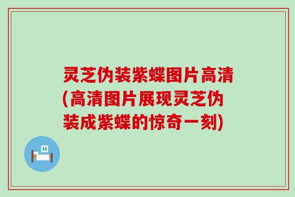 灵芝伪装紫蝶图片高清(高清图片展现灵芝伪装成紫蝶的惊奇一刻)