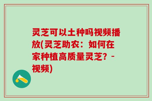 灵芝可以土种吗视频播放(灵芝助农：如何在家种植高质量灵芝？-视频)