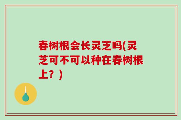 春树根会长灵芝吗(灵芝可不可以种在春树根上?) 春树根会长灵芝吗(灵芝可不可以种在春树根上?)
