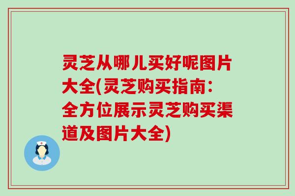 灵芝从哪儿买好呢图片大全(灵芝购买指南:全方位展示灵芝购买渠道及图片大全) 灵芝从哪儿买好呢图片大全(灵芝购买指南:全方位展示灵芝购买渠道及图片大全)