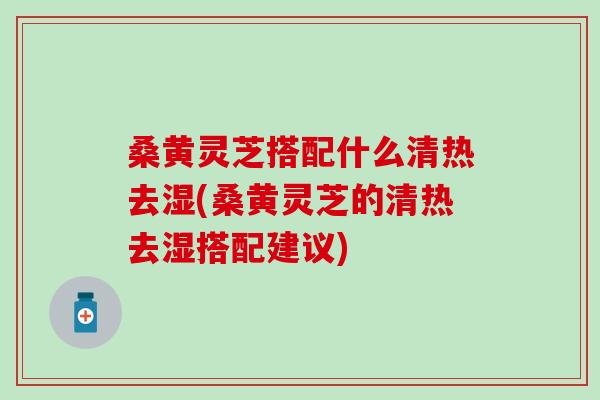 桑黄灵芝搭配什么清热去湿(桑黄灵芝的清热去湿搭配建议)