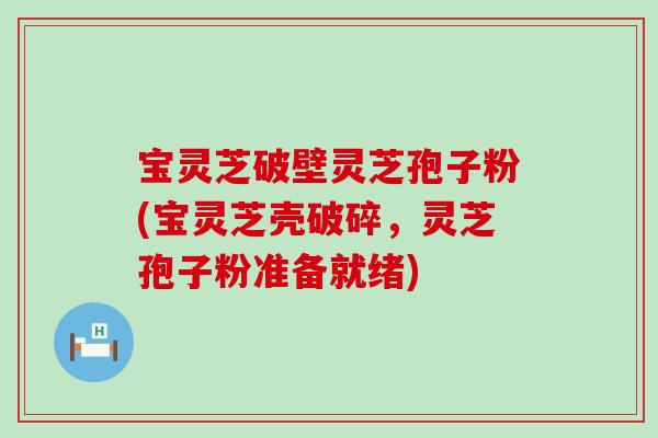 宝灵芝破壁灵芝孢子粉(宝灵芝壳破碎，灵芝孢子粉准备就绪)