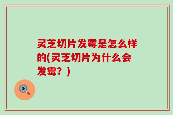 灵芝切片发霉是怎么样的(灵芝切片为什么会发霉？)