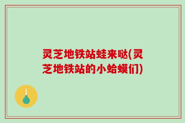 灵芝地铁站蛙来哒(灵芝地铁站的小蛤蟆们)