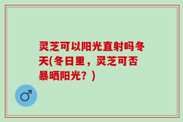 灵芝可以阳光直射吗冬天(冬日里，灵芝可否暴晒阳光？)