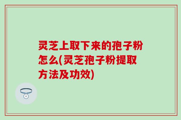 灵芝上取下来的孢子粉怎么(灵芝孢子粉提取方法及功效)