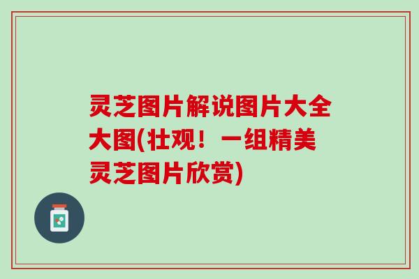 灵芝图片解说图片大全大图(壮观！一组精美灵芝图片欣赏)
