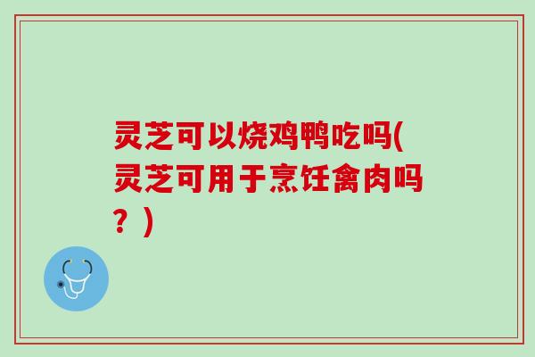 灵芝可以烧鸡鸭吃吗(灵芝可用于烹饪禽肉吗？)