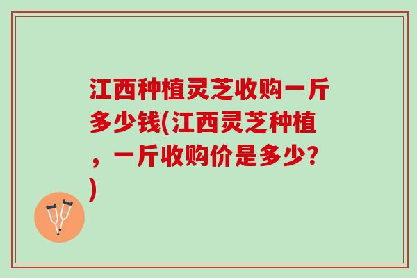 江西种植灵芝收购一斤多少钱(江西灵芝种植，一斤收购价是多少？)
