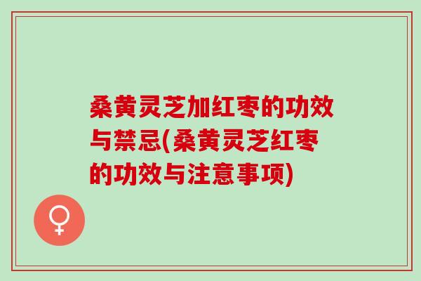 桑黄灵芝加红枣的功效与禁忌(桑黄灵芝红枣的功效与注意事项)
