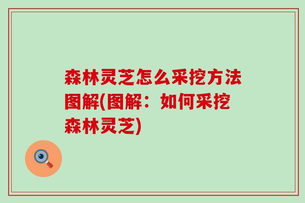 森林灵芝怎么采挖方法图解(图解：如何采挖森林灵芝)