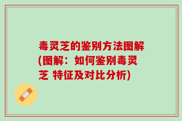 毒灵芝的鉴别方法图解(图解：如何鉴别毒灵芝 特征及对比分析)
