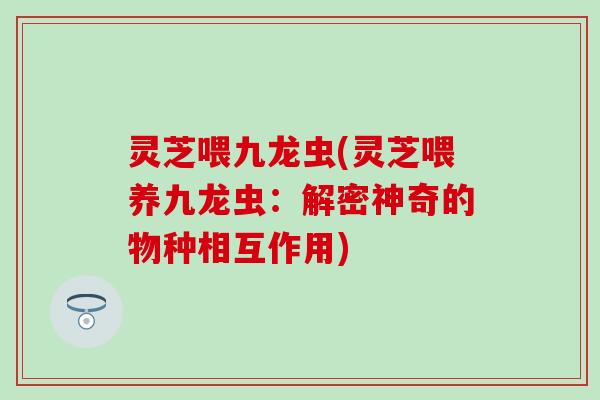 灵芝喂九龙虫(灵芝喂养九龙虫：解密神奇的物种相互作用)