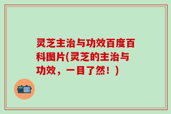 灵芝主治与功效百度百科图片(灵芝的主治与功效，一目了然！)