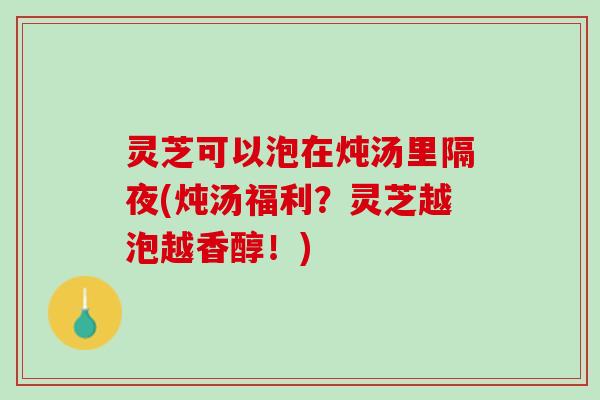 灵芝可以泡在炖汤里隔夜(炖汤福利？灵芝越泡越香醇！)